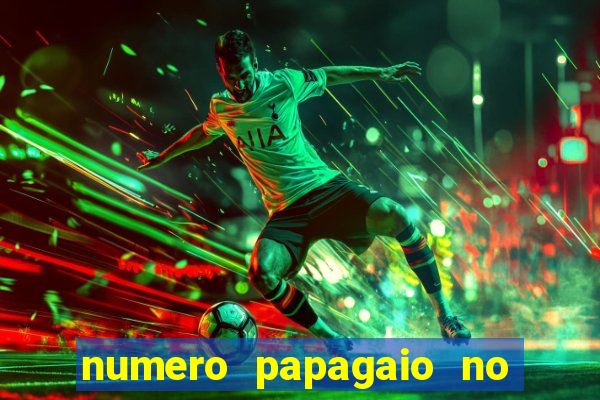 numero papagaio no jogo do bicho